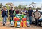 ENTREGA DE SEMENTES REFORÇA PRODUÇÃO AGRÍCOLA NA ALDEIA CERRITO, EM ELDORADO