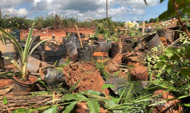 Empresário de Eldorado-MS Sofre Injustiça com Destruição de Mudas por Agente da IAGRO