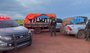 DOF Intercepta mais de 10 Toneladas de Maconha em Japorã-MS em Ação de Combate ao Crime Organizado