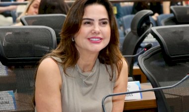 Mara Caseiro solicita reparos urgentes em ponte sobre o Rio Morumbizinho, na MS-295