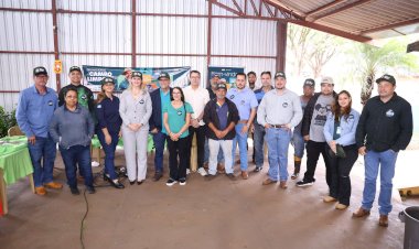 ELDORADO REALIZA CAMPANHA PARA RECEBIMENTO DE EMBALAGENS VAZIAS DE DEFENSIVOS AGRÍCOLAS