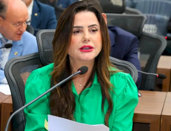 DEPUTADA MARA CASEIRO SOLICITA RETIRADA DE QUEBRA-MOLAS PROVISÓRIOS NA MS-320