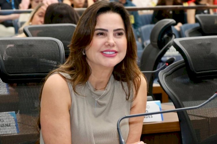 Mara Caseiro solicita reparos urgentes em ponte sobre o Rio Morumbizinho, na MS-295