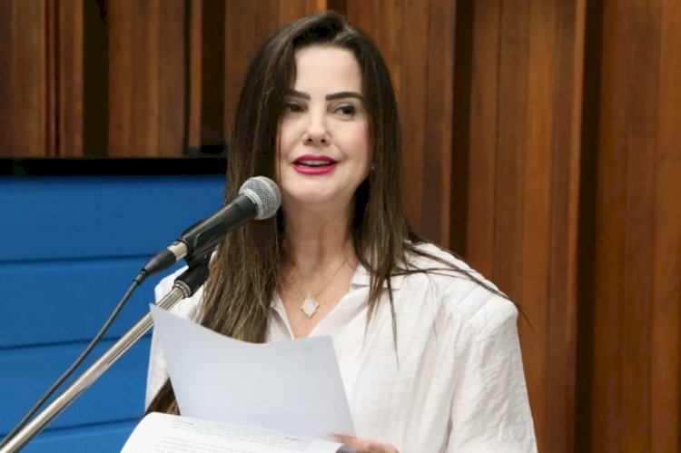 MARA CASEIRO SOLICITA APOIO DO ESTADO PARA AGRICULTORES DE PARAÍSO DAS ÁGUAS
