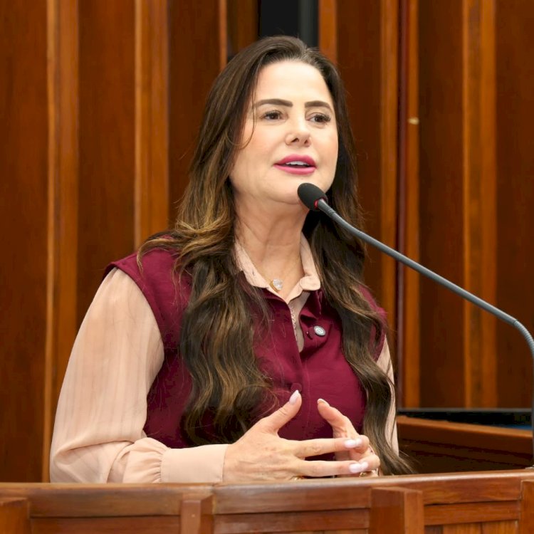 MARA CASEIRO LEVA PAUTAS DE MS A FLÁVIO BOLSONARO EM BRASÍLIA